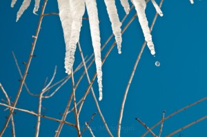 ice winter icicles 