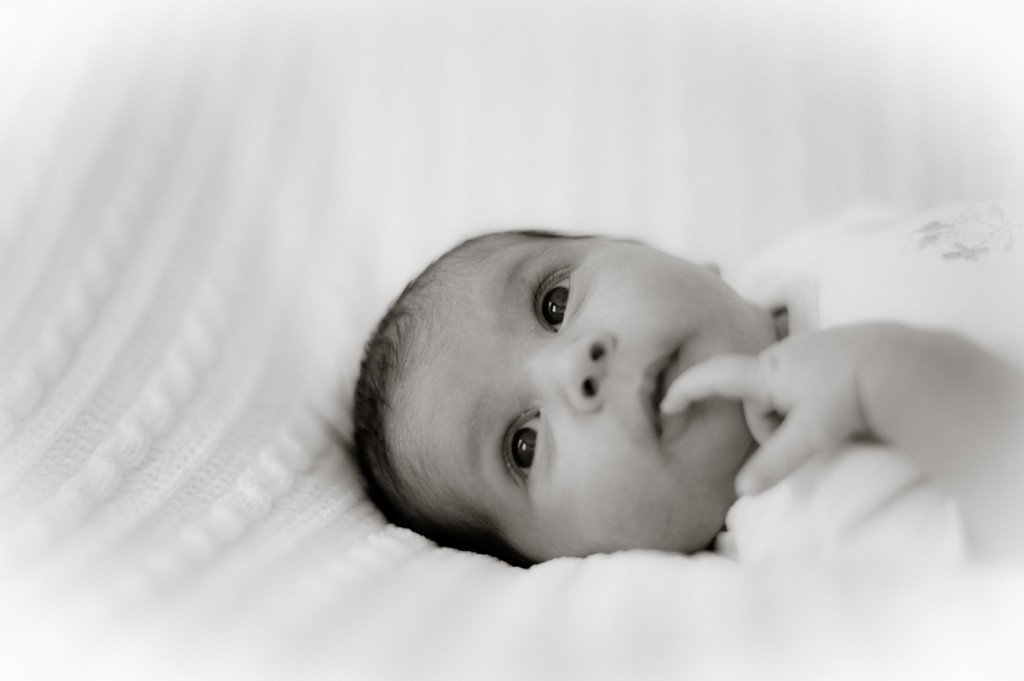 kalamazoo newborn and family photographer