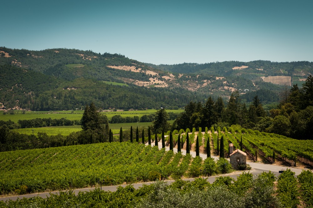 California Napa Valley wine